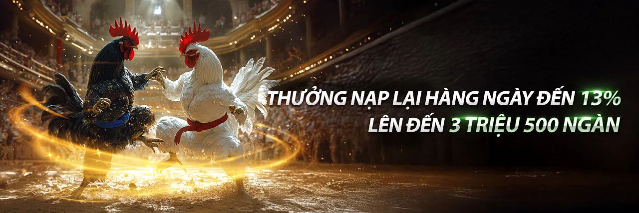 Sân đấu đá gà trực tuyến 789 live với ánh sáng rực rỡ và không khí sôi động
